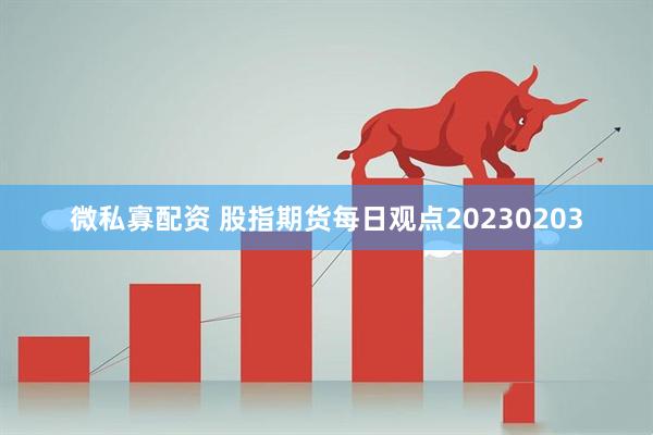 微私寡配资 股指期货每日观点20230203