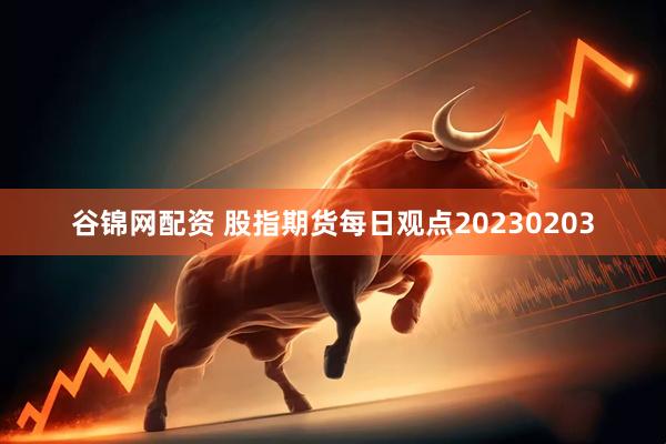 谷锦网配资 股指期货每日观点20230203
