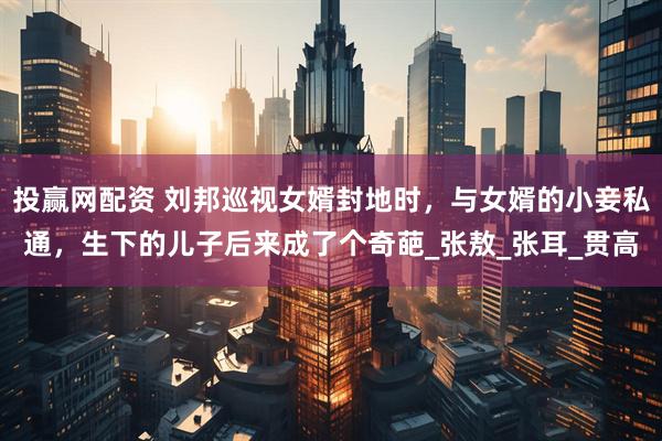 投赢网配资 刘邦巡视女婿封地时，与女婿的小妾私通，生下的儿子后来成了个奇葩_张敖_张耳_贯高