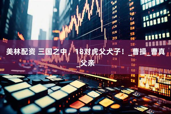 美林配资 三国之中，18对虎父犬子！_曹操_曹真_父亲