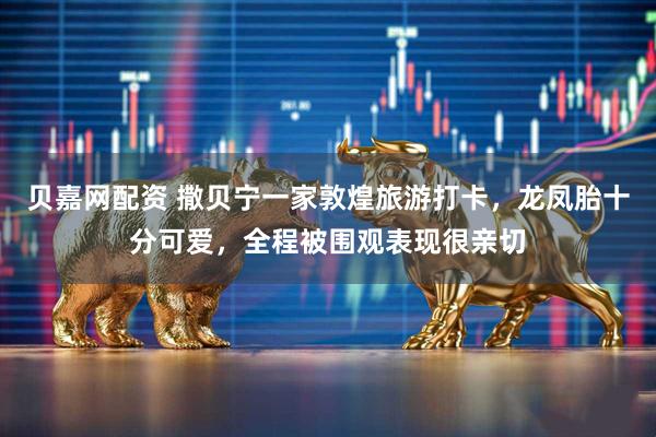 贝嘉网配资 撒贝宁一家敦煌旅游打卡，龙凤胎十分可爱，全程被围观表现很亲切