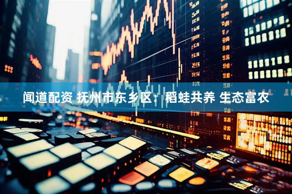 闻道配资 抚州市东乡区：稻蛙共养 生态富农